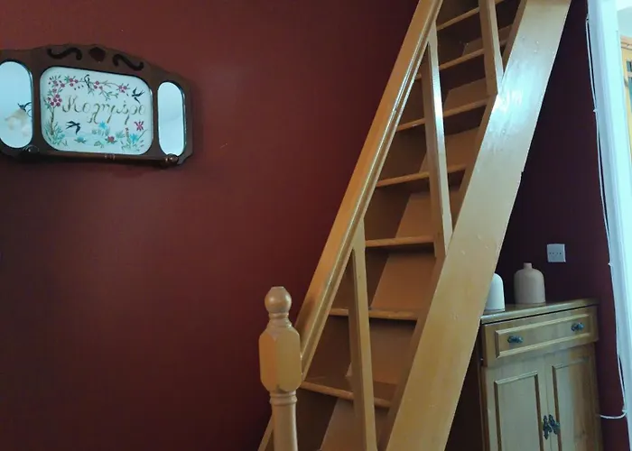 Xeni's House