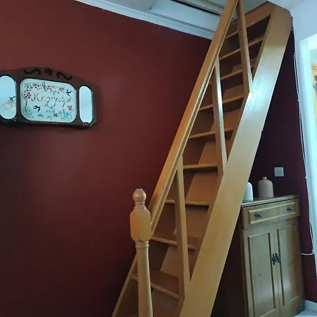 Xeni's House